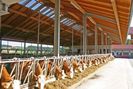 Hale firmy Wolf System – różnorodne formy i perfekcyjna realizacja