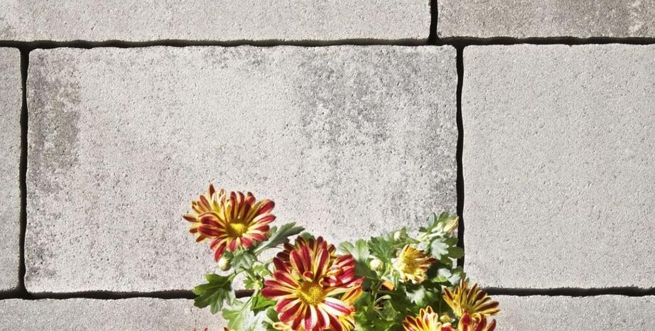 Jak dbać o kostkę brukową zimą