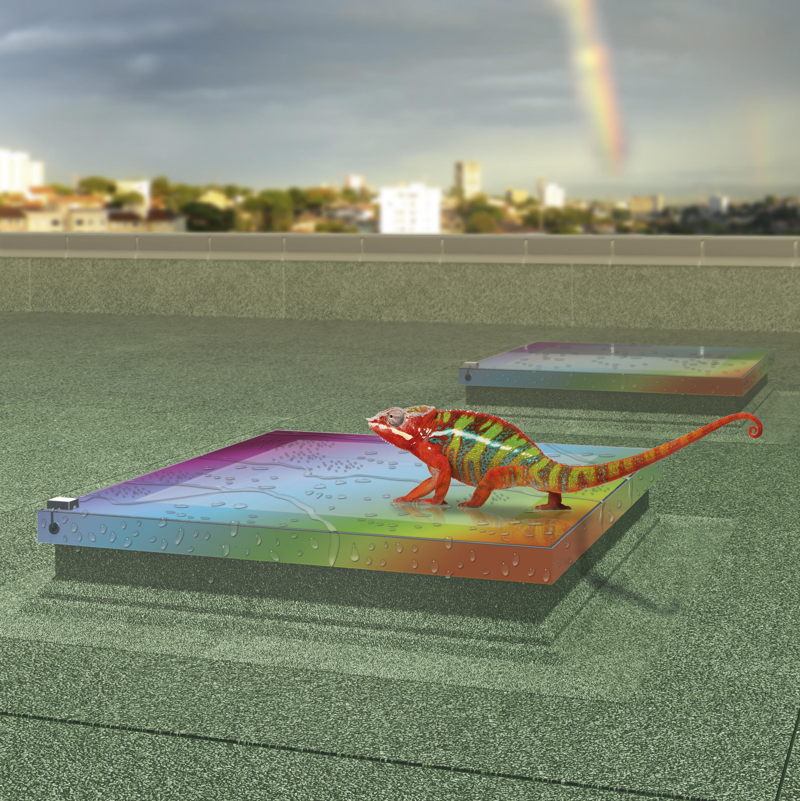 Innowacyjne okno do dachów płaskich DEF teraz dostępne w wersji ColourLine!