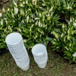 fot. Piętka Mieszko/AKPA