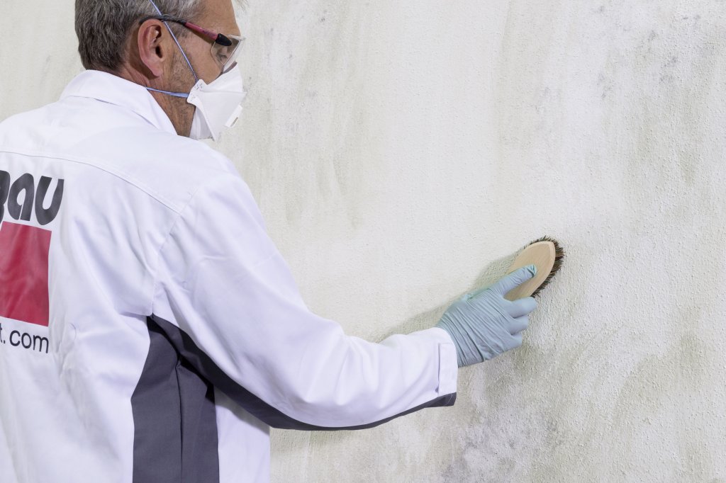 STOP grzybom i pleśniom na ścianach!