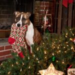 fot. fischer Polska1