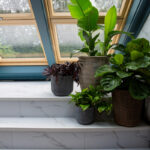 Netflix_Okna Galeria (8)