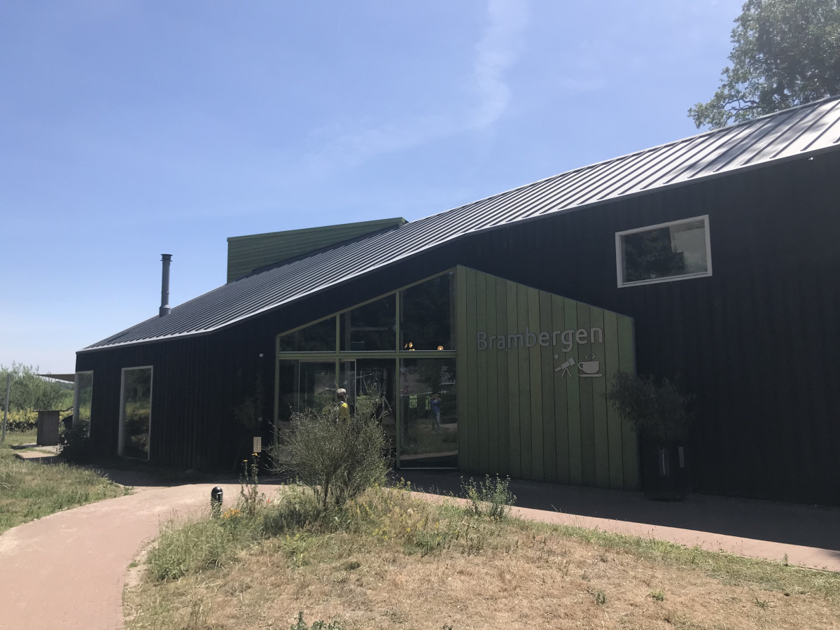 Mała czarna… fasada. Nowy trend w kolorystyce drewnianych elewacji