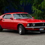 MustangKaczkowskiego_7