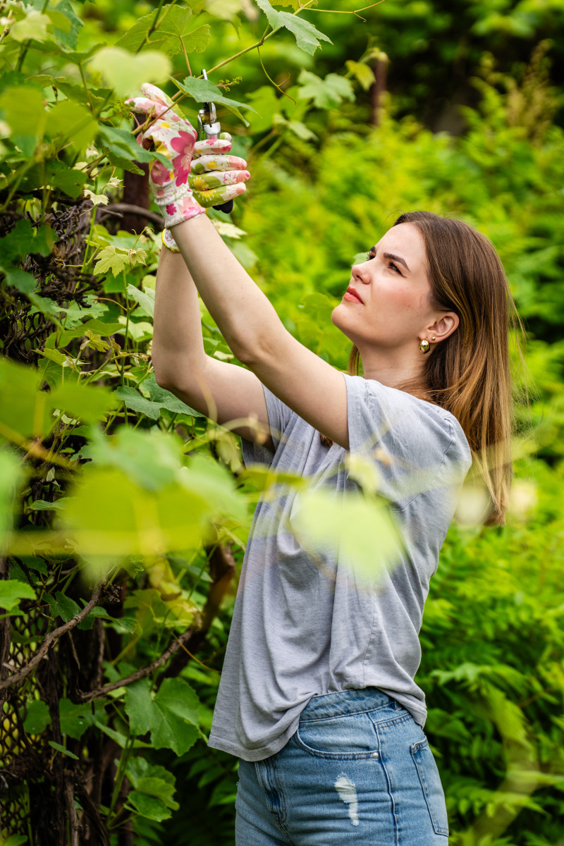 Kompleksowe rozwiązania do ogrodu – poznaj ofertę Stalco Garden