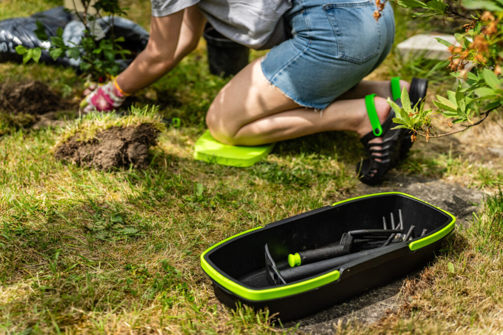 garden_ogrod_dzialkowy_maj_2024_fullsize_29