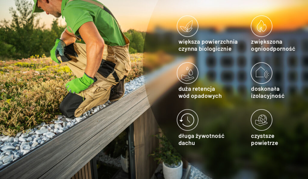 swisspor -- Dachy zielone - ekologiczna rewolucja w miejskiej architekturze - 02